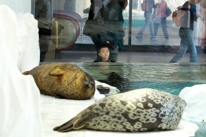 Osaka Japan