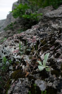 Nationalpark Paklenica