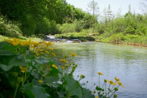 Plitvicer Seen, Kroatien