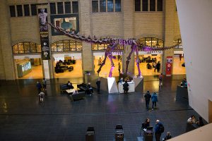 Royal Ontario Museum, Toronto