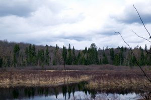 Algonquin Provincial Park, Kanada