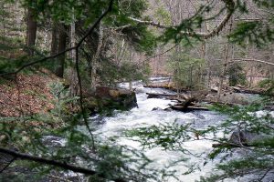 Algonquin Provincial Park, Kanada