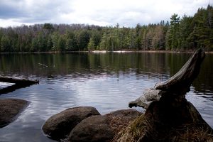 Algonquin Provincial Park, Kanada
