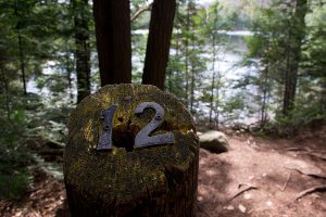 Algonquin Provincial Park, Kanada