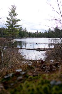 Algonquin Provincial Park, Kanada