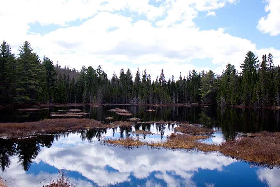 Algonquin Provincial Park, Kanada