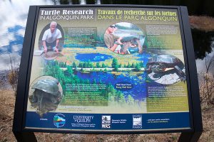 Algonquin Provincial Park, Kanada