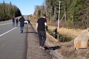 Algonquin Provincial Park, Kanada